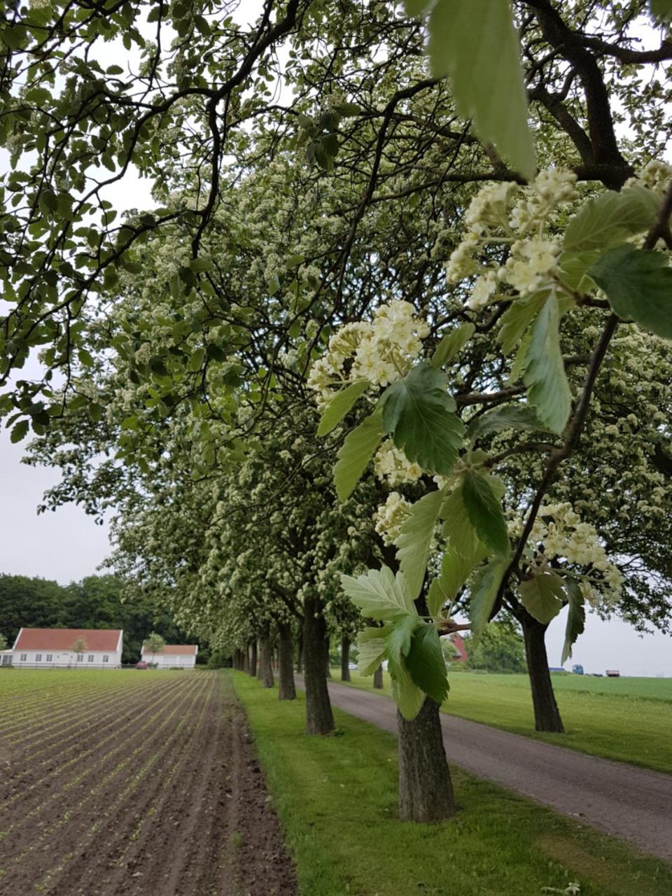 Kävlinge Wirketorp Countryside Hotel المظهر الخارجي الصورة